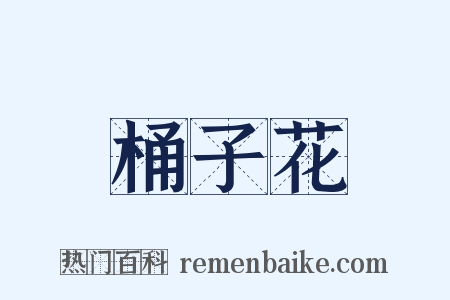 桶子花是什么意思的图片